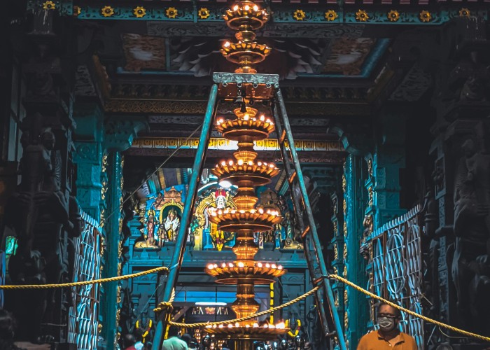 1747886520-pexels-vinod-kumar-13881909-6285842 (1).jpg